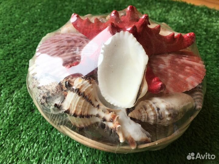 Ракушки набор большой. Морские. Новые Рукоделие