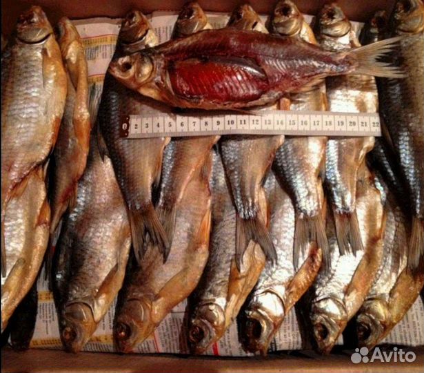 Астраханская вяленая вобла