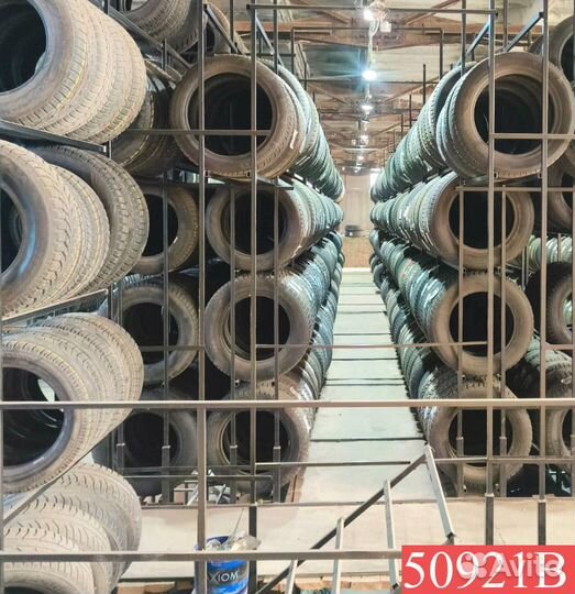 Zeta Antarctica Ice 195/55 R16 88N