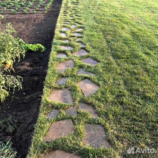 Рулонный газон, газон посевной