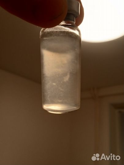 Белый гриб (боровик) Мицелий