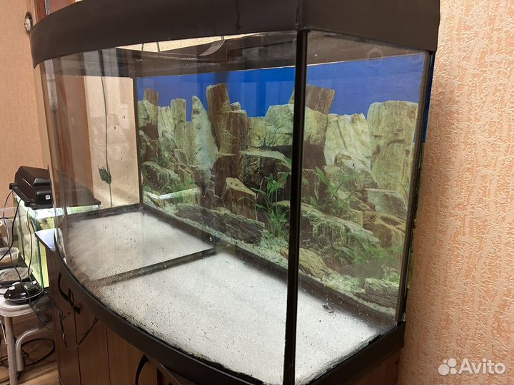 Аквариум панорамный с тумбой