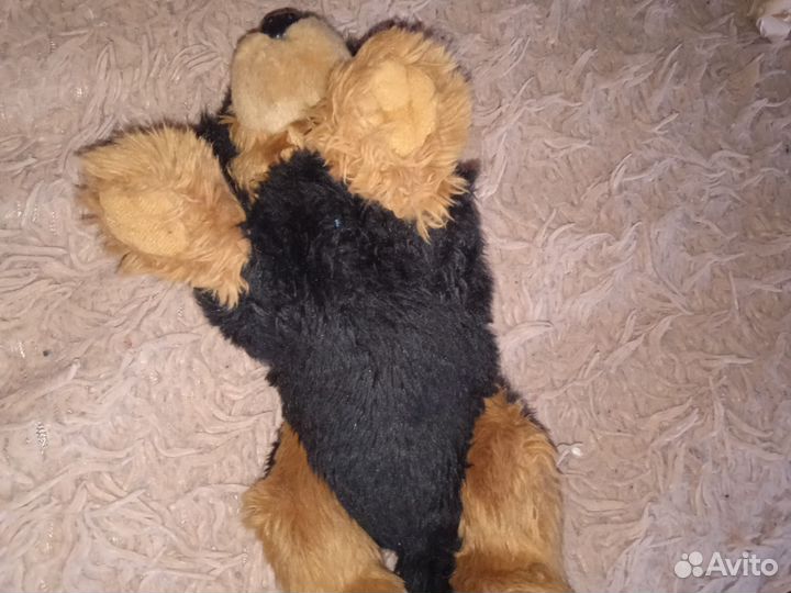 Игрушка, собака