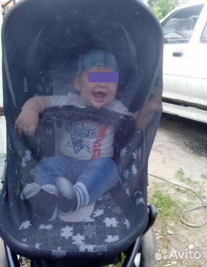 Коляска Lama Cobra 2 в 1