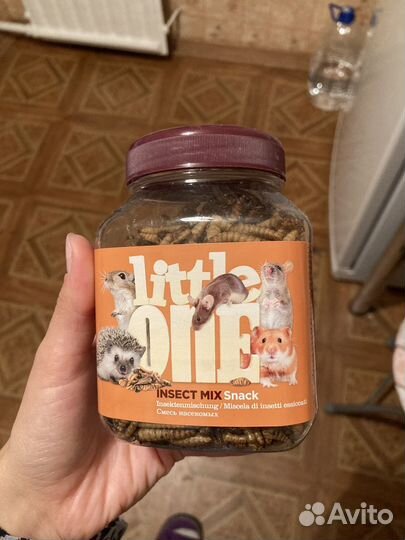 Кормовые насекомые