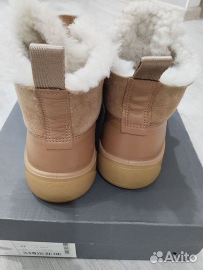 Ботинки кеды ecco зимние