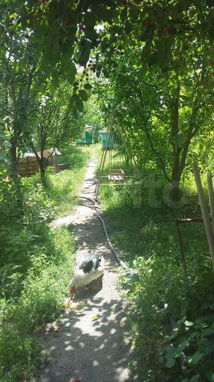 Дом 68 м² на участке 10 сот.