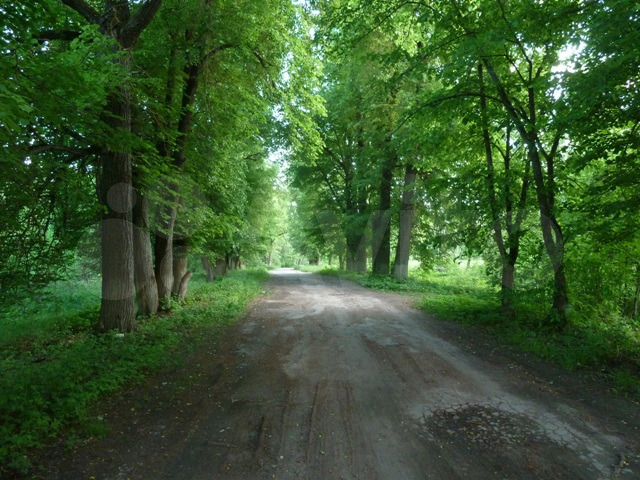 Участок 3,9 га (промназначения)