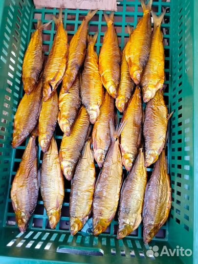 Сиг горячего копчения