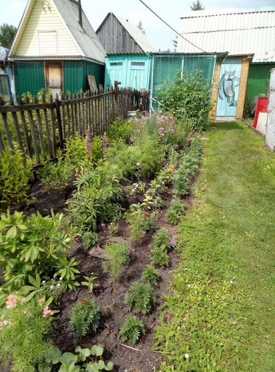 Дача 25 м² на участке 4 сот.