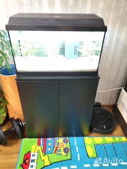 Аквариум с рыбами