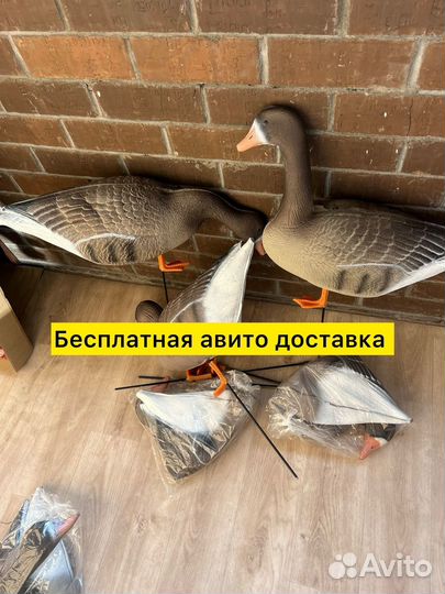 Чучела гусей 20 штук 3D