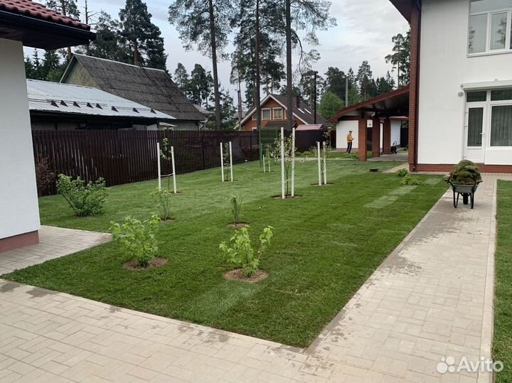 Рулонный газон 