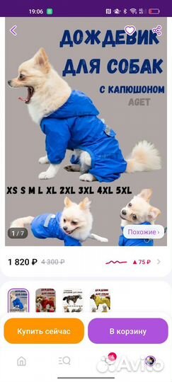 Одежда для животных