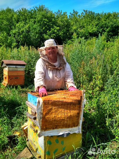 Мёд натуральный