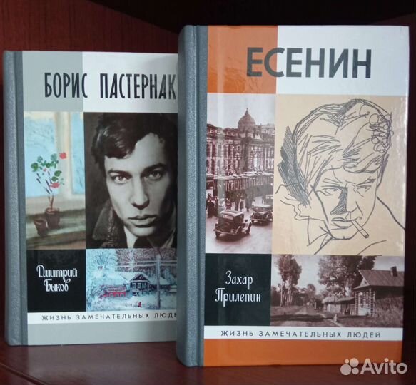Книги серии жзл