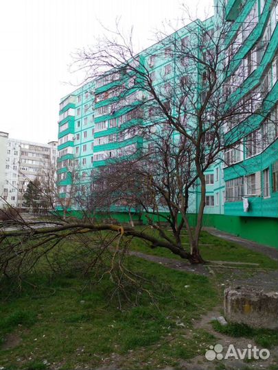 Спил деревьев кронирование стрижка, покос травы