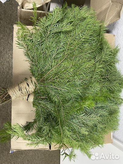 Веник для бани (пихтовый)