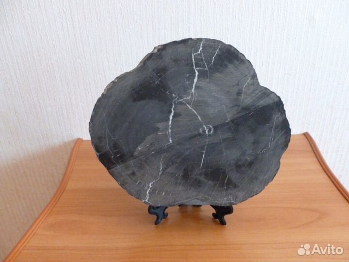 Окаменелое дерево 4 кг, Палеозой