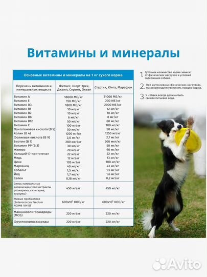 Корм для собак холистик 10 кг