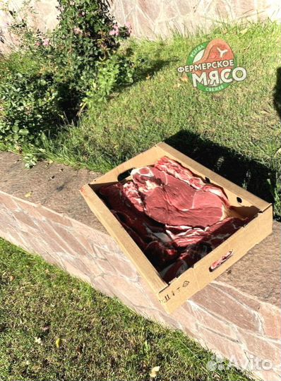 Мясо говядина