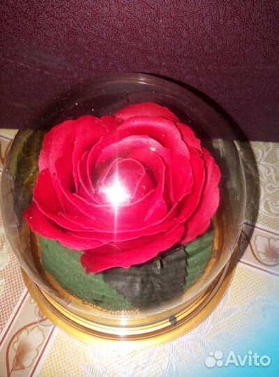 Мыльные розы в куполе