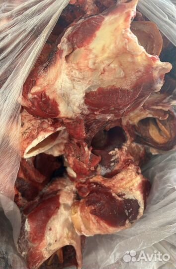 Мясо и субпродукты для собак оптом