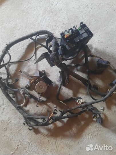 Мозги блок управления двигателем форд транзит