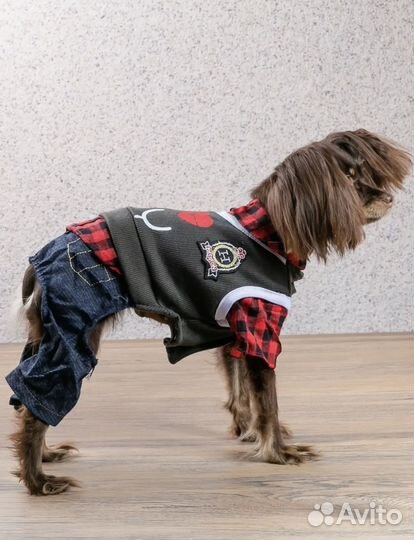 Костюм для собак