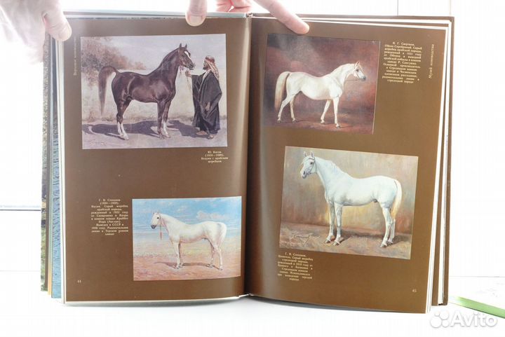 Коневодство и конезаводство в России книга