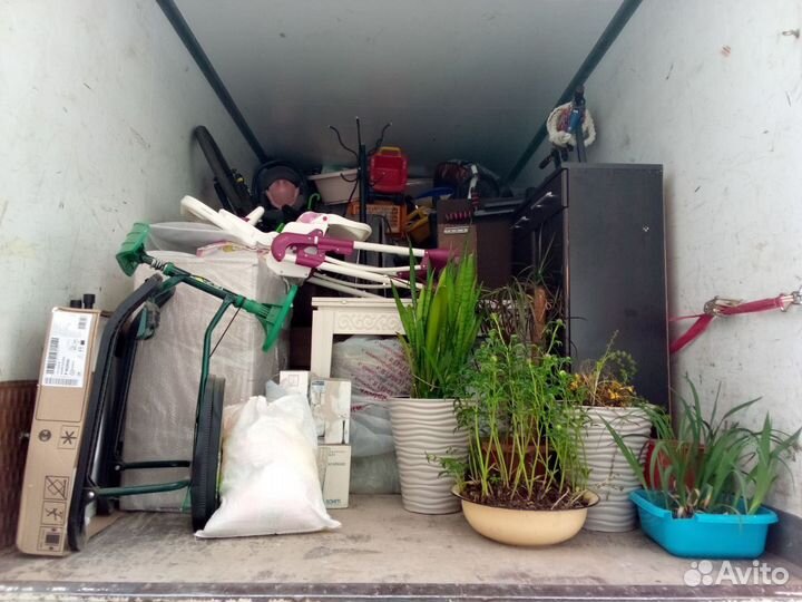 Грузоперевозки газель и грузчики и вывоз мусора