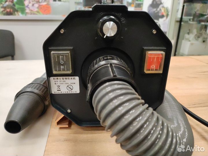 Компрессор (фен) для сушки собак и кошек в аренду