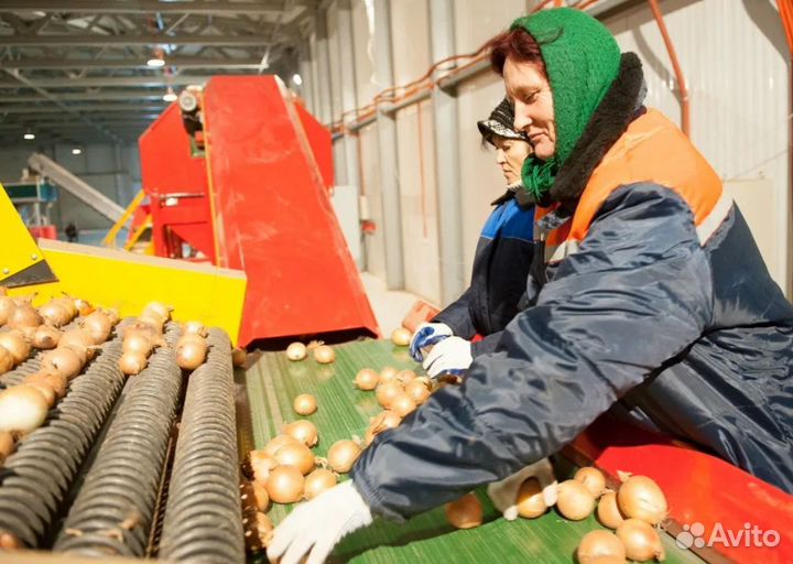 Вахта с проживанием и питанием
