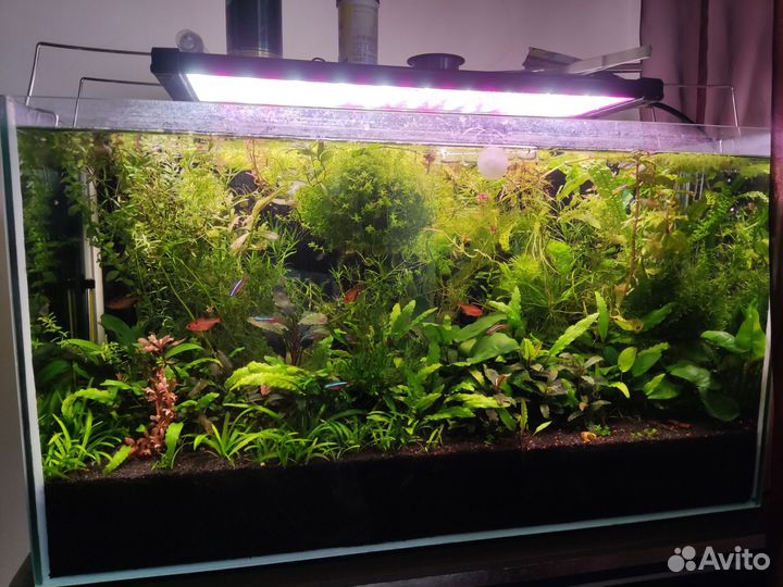 Аквариум