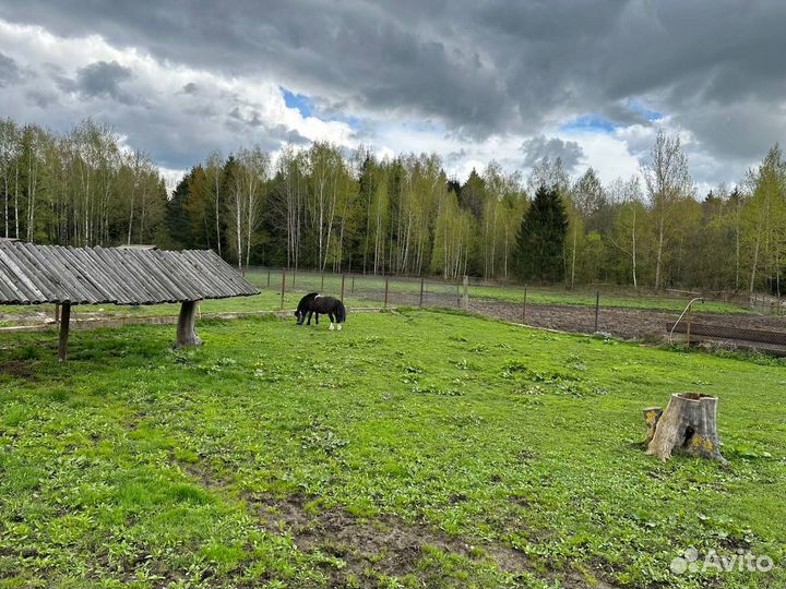 Тур в Беларусь