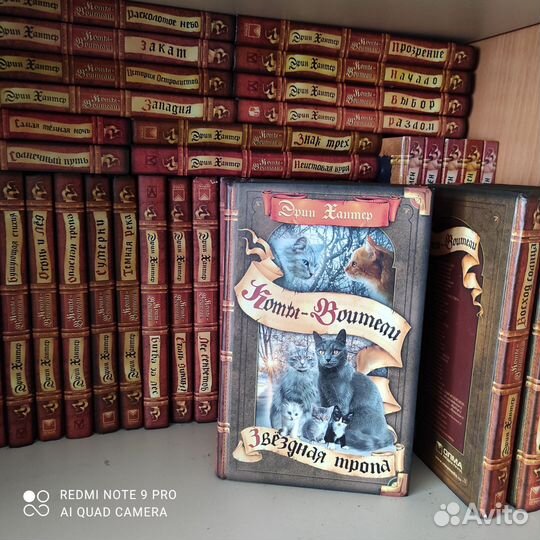 Книги коты воители