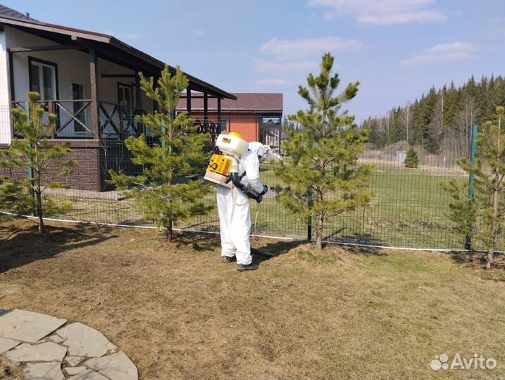 Дезинфекция Уничтожение клопов и тараканов