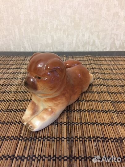 Собака чау чау лфз