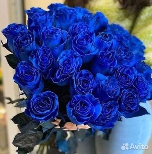 Синие розы Доставка цветов