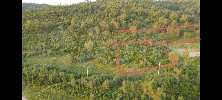 Участок 2 га (СНТ, ДНП)