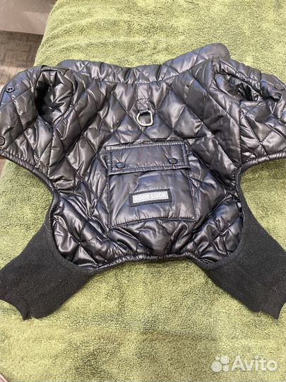 Одежда доя собачки