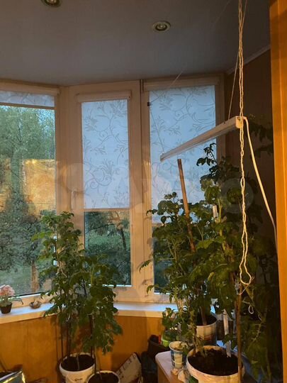 2-к. квартира, 48,9 м², 3/9 эт.