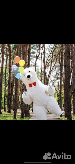 Мишка.аниматор.поздравить.ростовая кукла