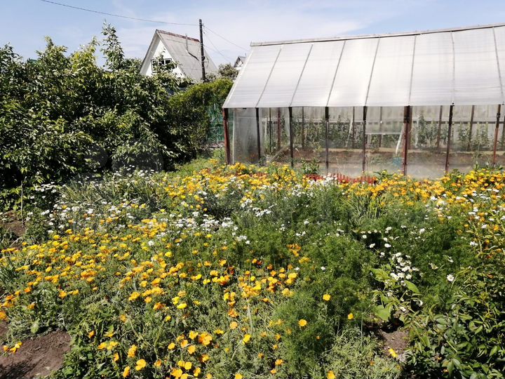 Дача 50 м² на участке 5 сот.