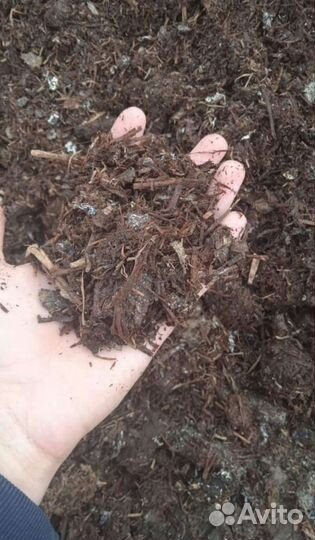 Компост из под шампиньонов, удобрение, мульча