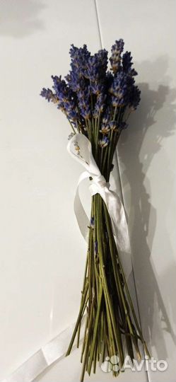 Лаванда сухоцвет