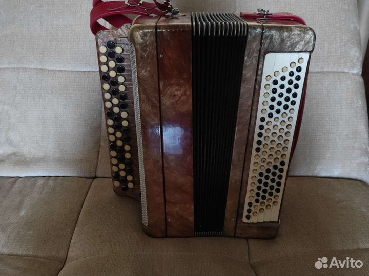 Баян тульский