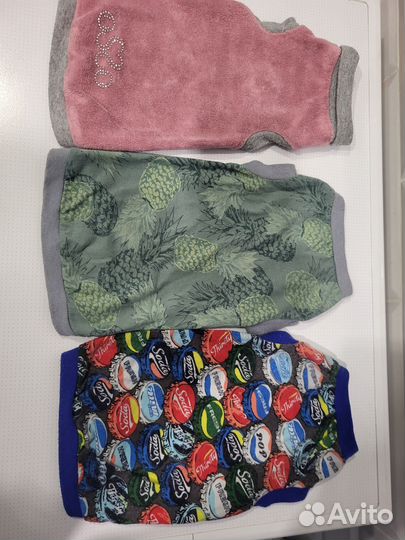 Одежда для кошек