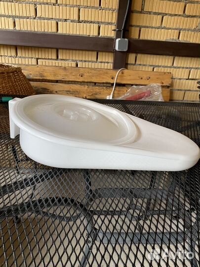 Утка медицинская