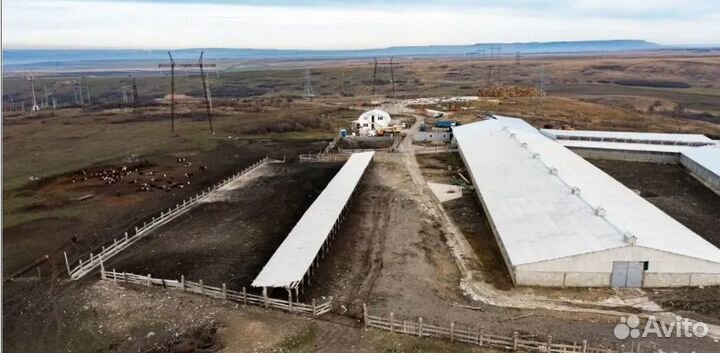 Работающая ферма крс 730Га 765 голов